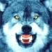 Ảnh Wolf v2.nth