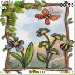 Ảnh Nature Day.nth