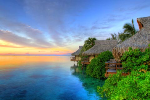 All_The_Colors_Of_Nature_In_Front_Of_The_Eyes.jpg